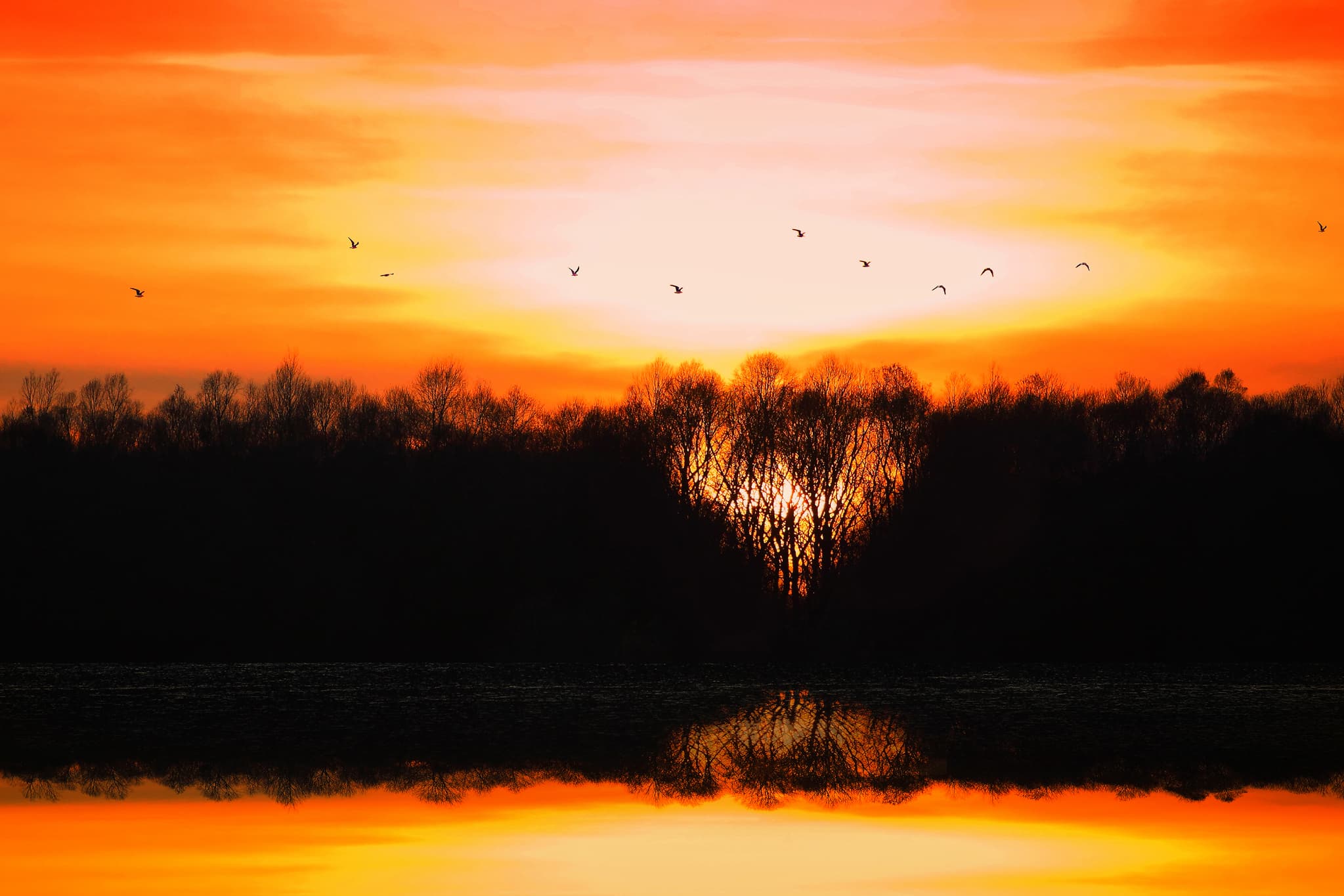 Sonnenuntergang Gegenlicht Herz, Unterer Inn Landschaft - Herzlicher Sonnenuntergang am Europareservat Unterer Inn, Landschaft bei Ering am Inn, Rottal-Inn. Baumkulisse spiegelt sich im Wasser.