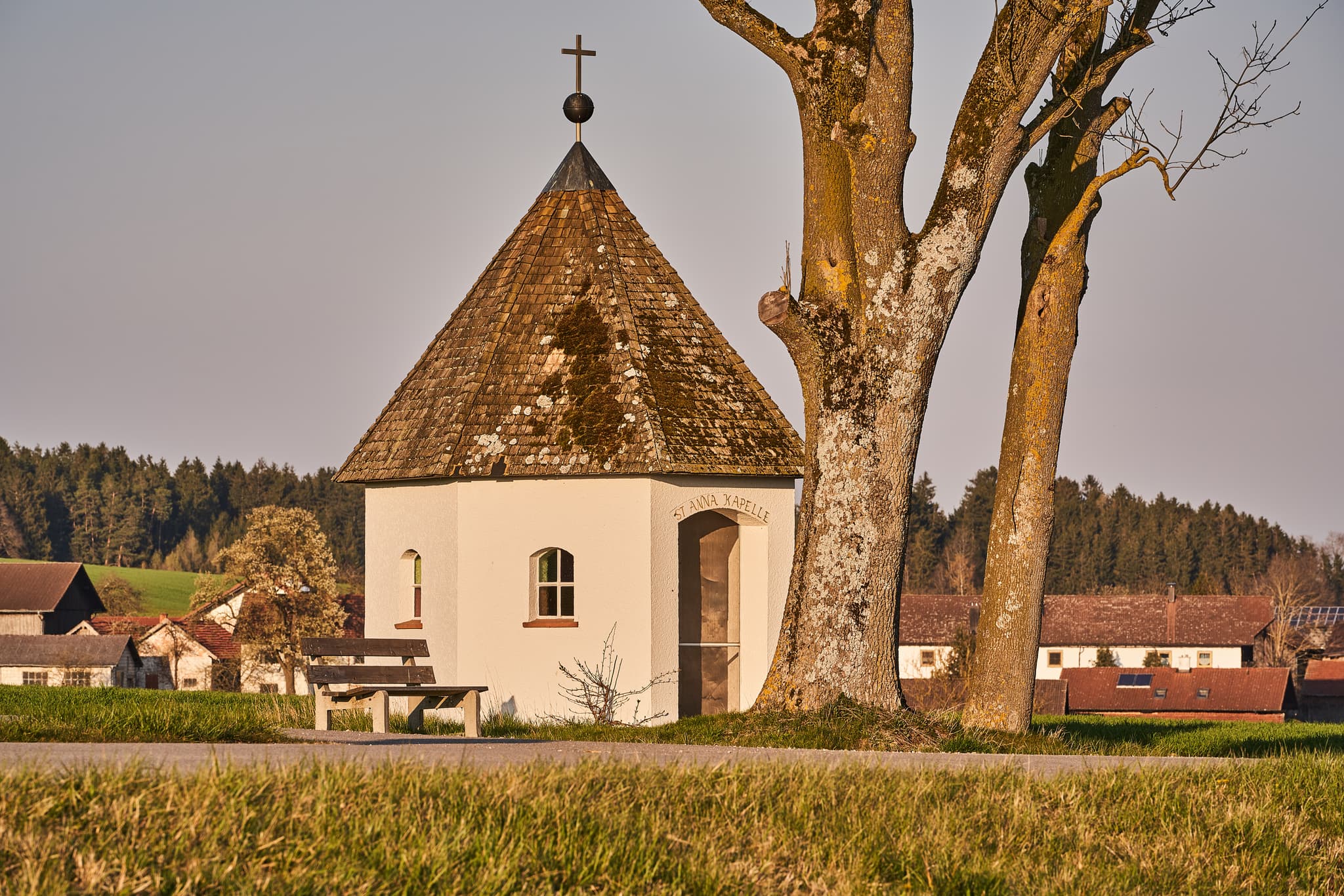 St. Anna Kapelle, Martinskirchen, Rottal-Inn, Niederbayern - Kapelle St. Anna mit Baum in Feldlandschaft bei Martinskirchen, Wurmannsquick, Landkreis Rottal-Inn, Niederbayern, Holzland, Deutschland.