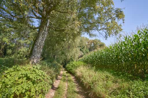 St.-Rupert-Pilgerweg Aigner, Kastl, Altötting, Oberbayern