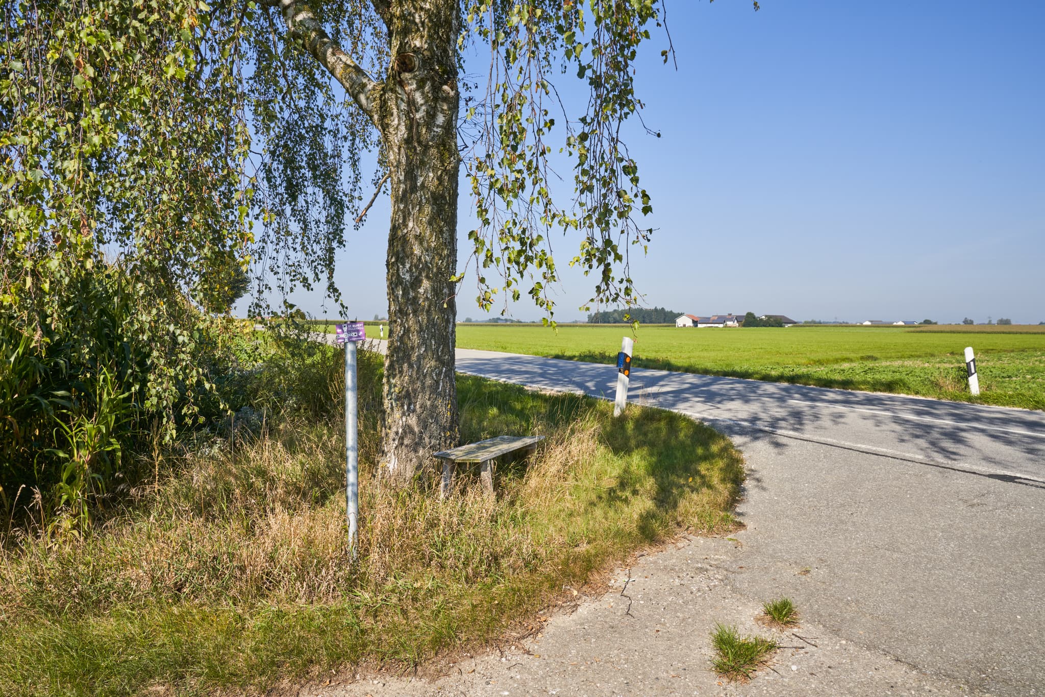 St.-Rupert-Pilgerweg AÖ6 Berger a. Brunn, Kastl, Altötting - Birke mit Pilgerweg-Wegweiser und Holzbank in Kastl, Altötting, Oberbayern, Inn-Salzach, Deutschland. Ländliche Landschaft mit Feldern unter blauem Himmel.