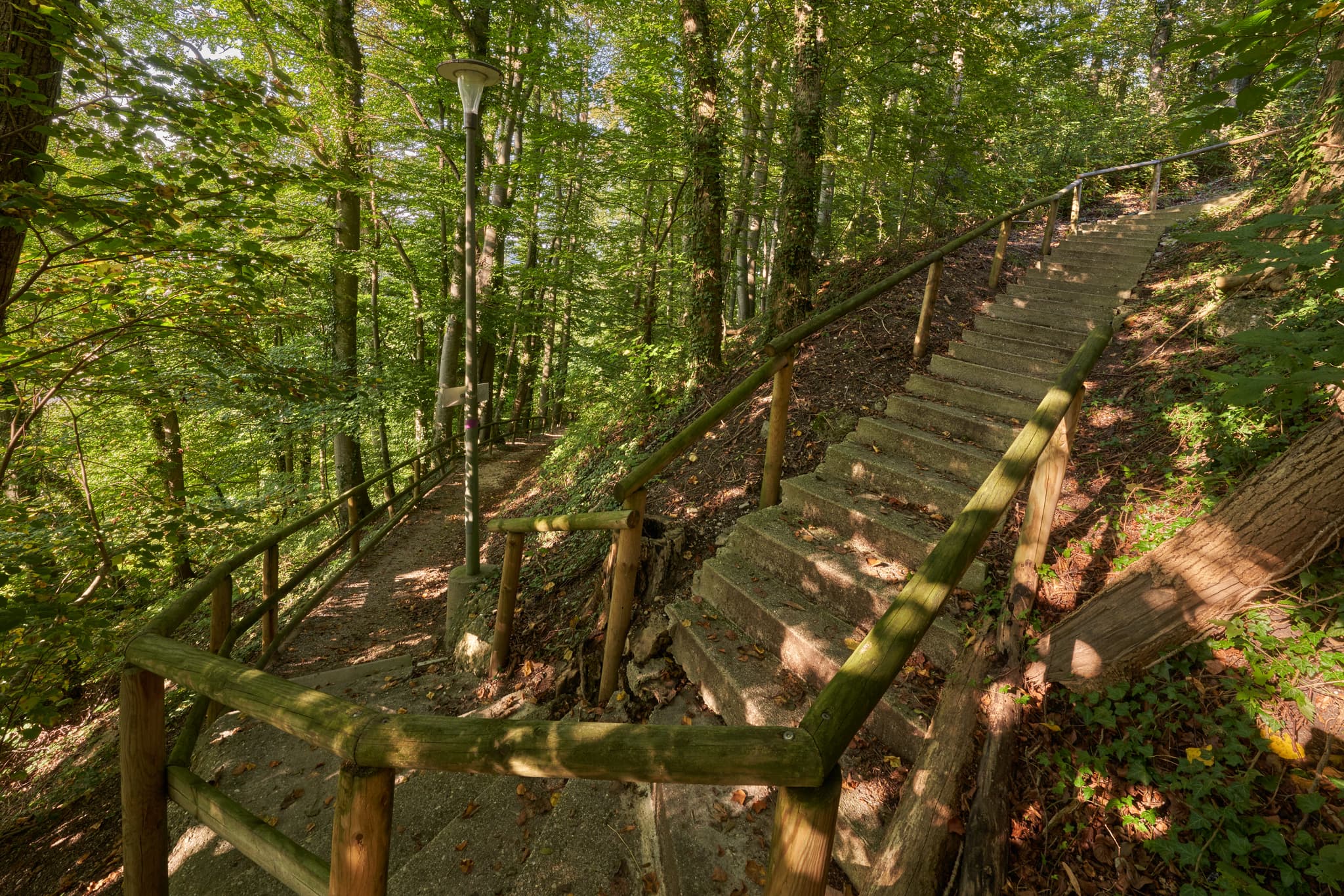 St.-Rupert-Pilgerweg, Margarethenberg, Altötting, Oberbayern - Ein Waldweg mit Treppen und Holzgeländer führt durch die grüne Natur in Margarethenberg bei Burgkirchen, Landkreis Altötting, Oberbayern, Deutschland.