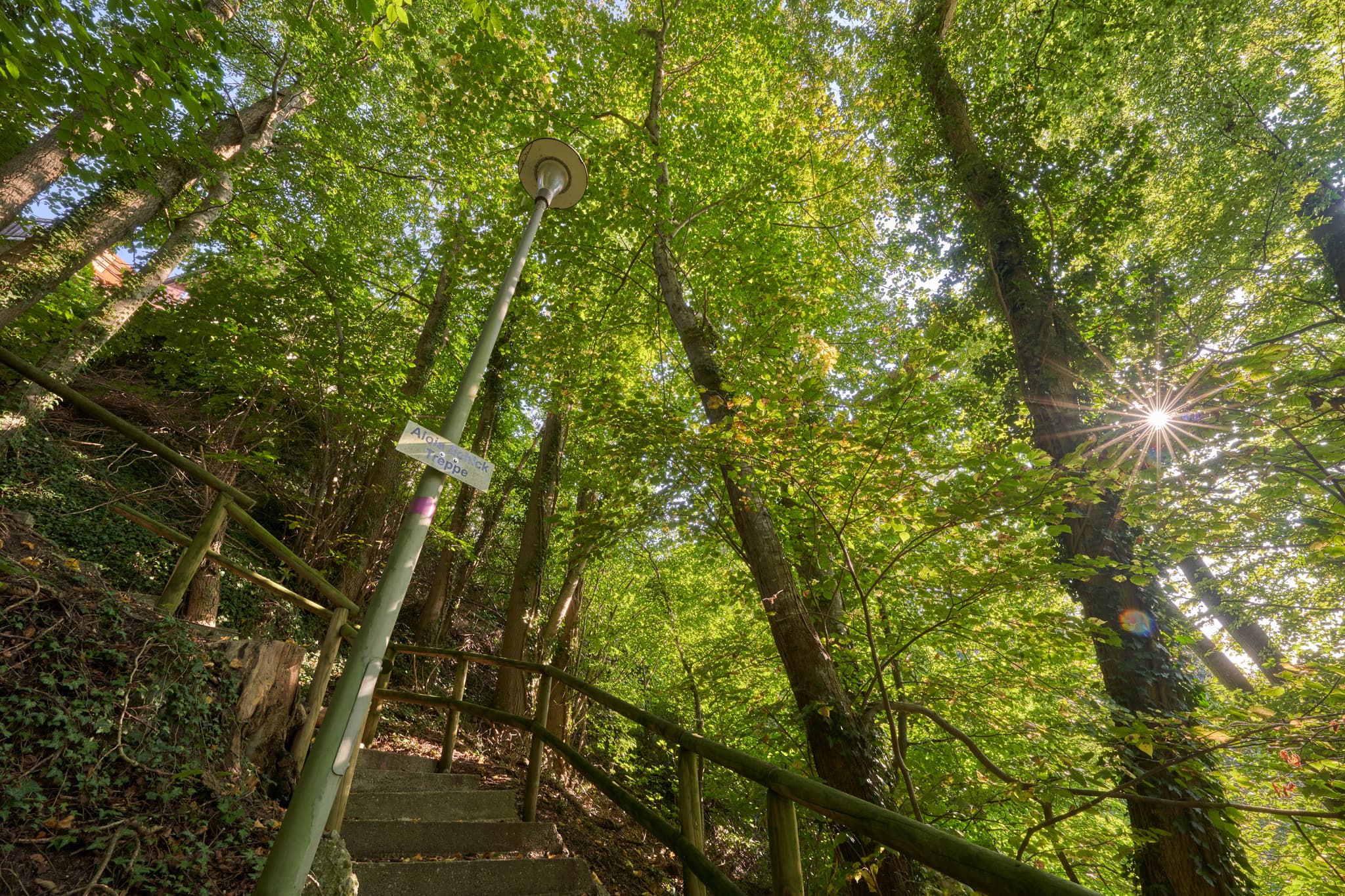St.-Rupert-Pilgerweg, Margarethenberg, AÖ, Oberbayern - St.-Rupert-Pilgerweg in Margarethenberg, Burgkirchen a.d. Alz, Oberbayern. Pfad mit Stufen, Geländer und Laterne, von Sonnenlicht durch Baumkronen erhellt.