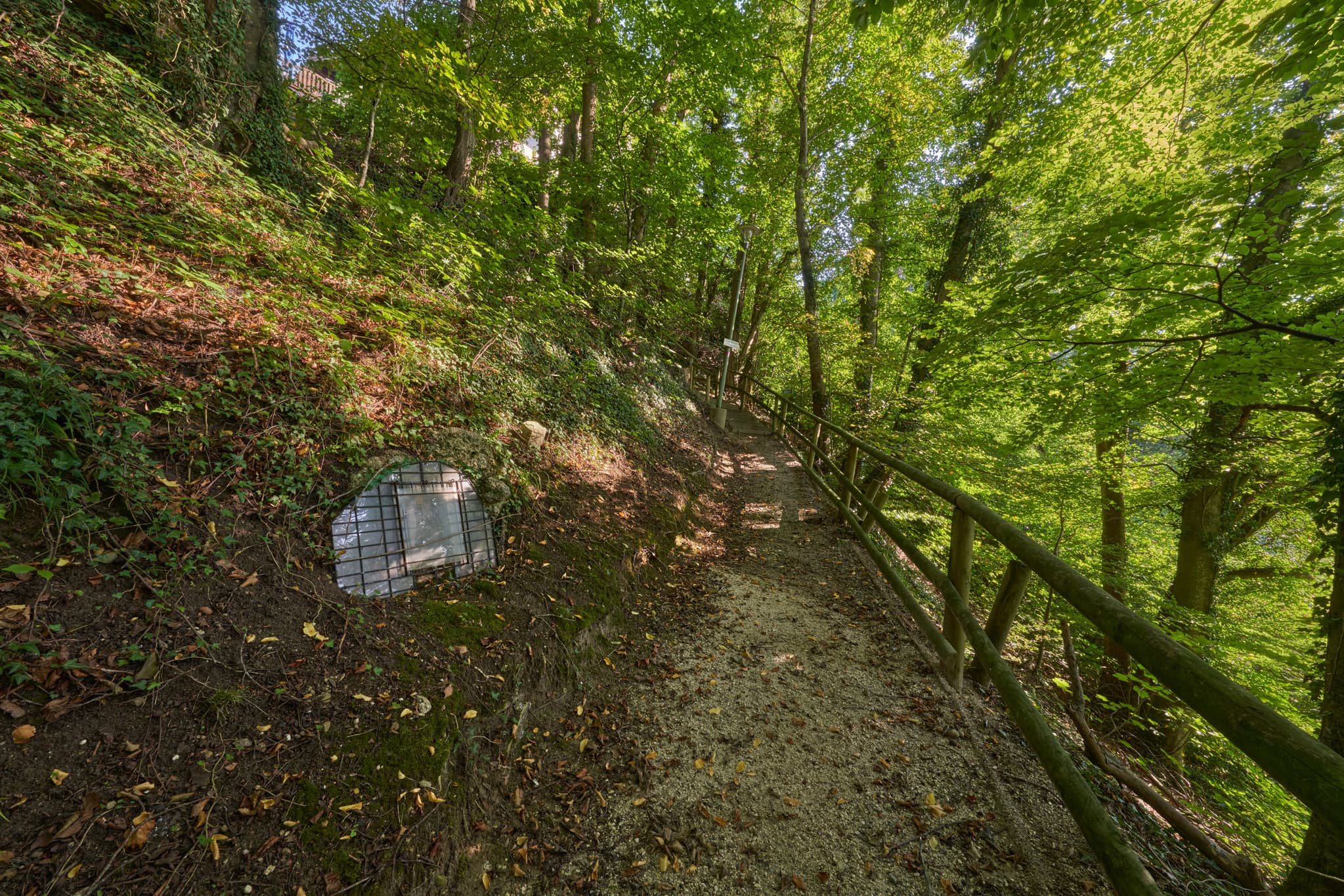 St.-Rupert-Pilgerweg Margarethenberg, AÖ, Oberbayern - Pilgerweg Margarethenberg, Burgkirchen, Altötting, Oberbayern, Inn-Salzach, Deutschland. Waldweg mit Holzzaun und Gitter am Hang. Grüne Naturlandschaft.