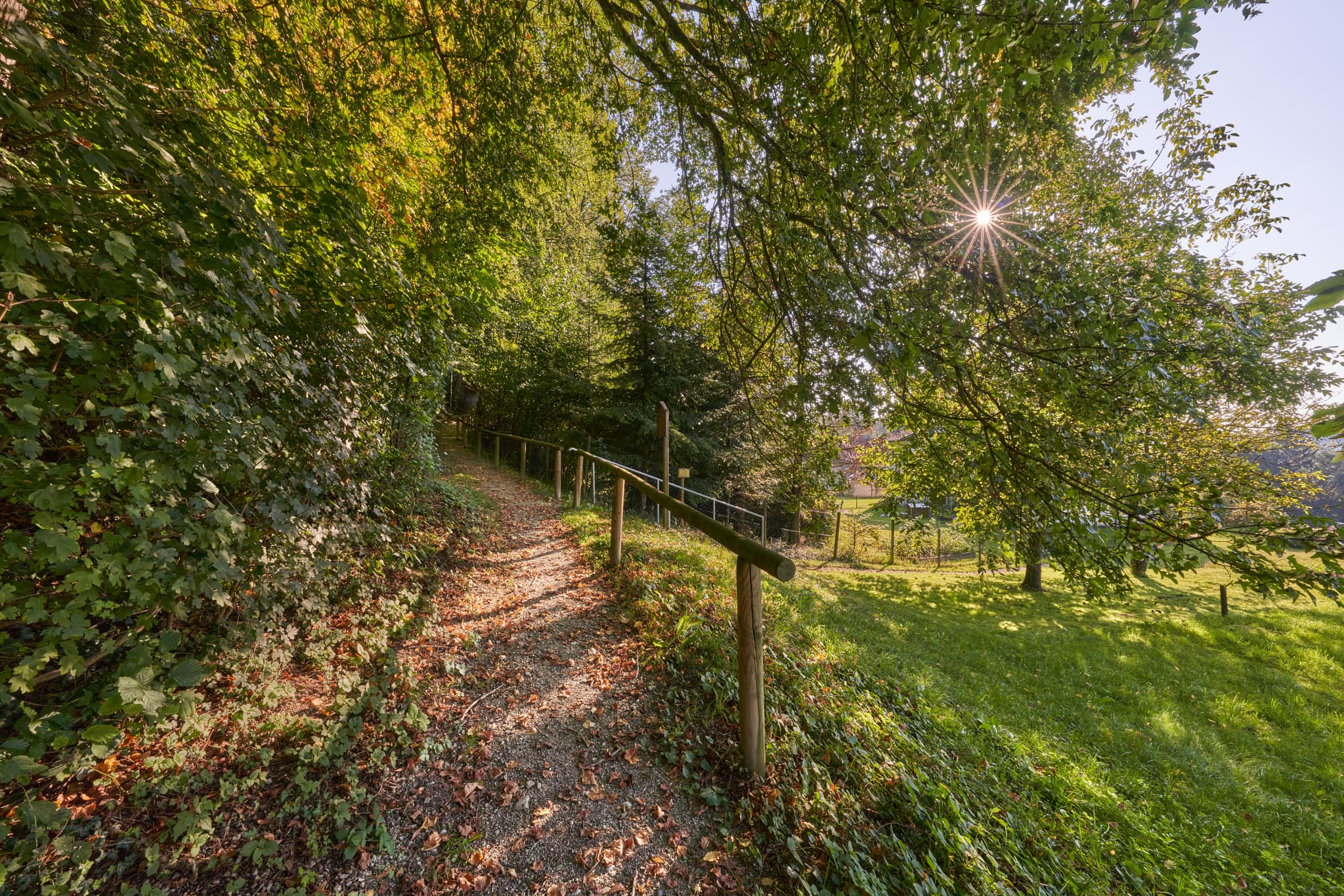 St.-Rupert-Pilgerweg Margarethenberg, Oberbayern - Pfad am St.-Rupert-Pilgerweg in Margarethenberg, Burgkirchen, Altötting, Oberbayern, Inn-Salzach, Deutschland. Sonnendurchflutete Waldlandschaft mit Naturweg.