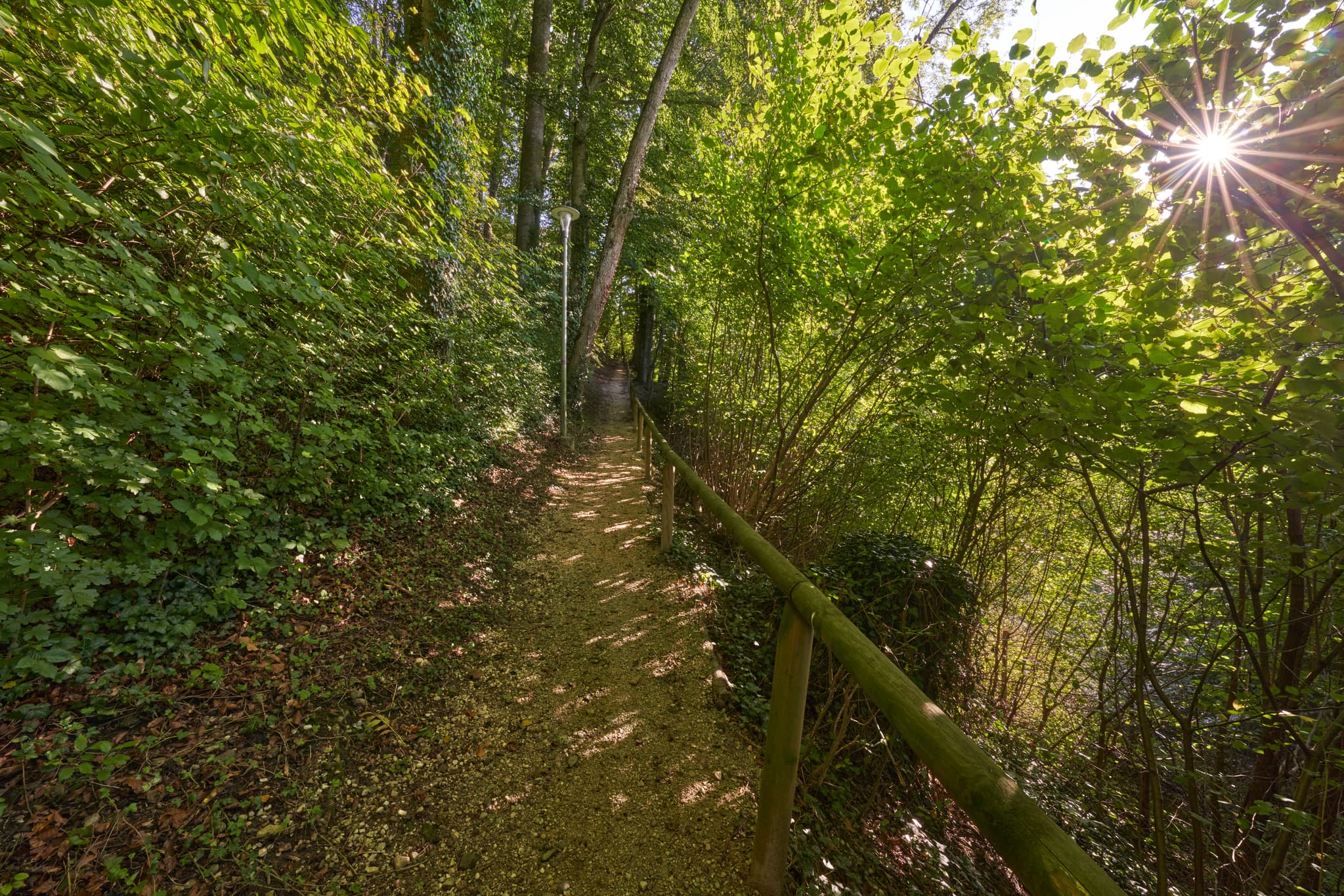St.-Rupert-Pilgerweg, Margarethenberg, Oberbayern - Pfad des St.-Rupert-Pilgerwegs in Margarethenberg, Burgkirchen, Altötting, Oberbayern, Inn-Salzach, Deutschland.