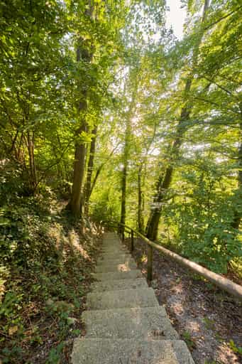 St.-Rupert-Pilgerweg, Margarethenberg, Oberbayern