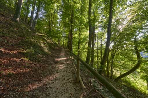 St.-Rupert-Pilgerweg, Margarethenberg, Oberbayern
