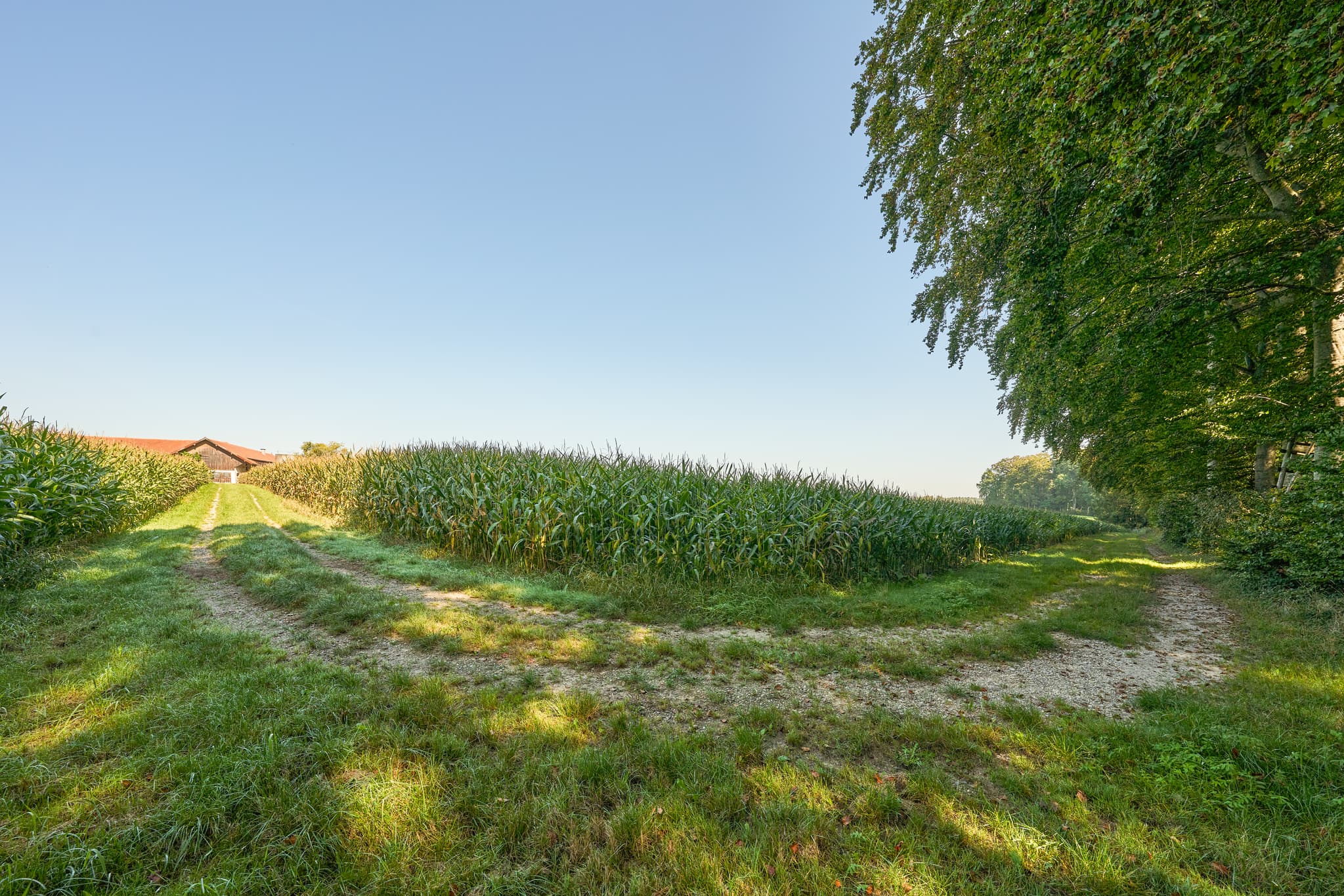 St.-Rupert-Pilgerweg Weindlgrub nach Ofner, Kastl - Feldweg durch Felder bei Ofner, Kastl, Altötting, Oberbayern, Inn-Salzach, Deutschland. Ein landwirtschaftliches Gebiet in ruhiger Landschaft.