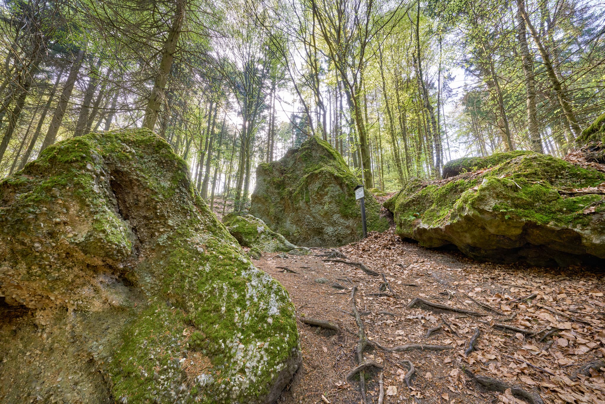 St. Salvator Luisenburg, Bad Griesbach, Passau - Moosbewachsene Felsen im Wald bei St. Salvator Luisenburg, Bad Griesbach. Landkreis Passau, Niederbayern, Bayerischer Wald, Deutschland.