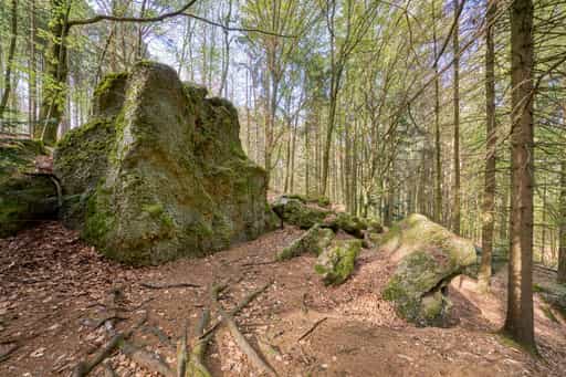 St. Salvator Luisenburg, Bad Griesbach, Passau