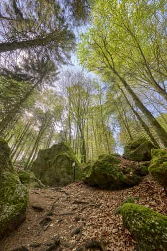 St. Salvator Luisenburg, Bad Griesbach, Passau