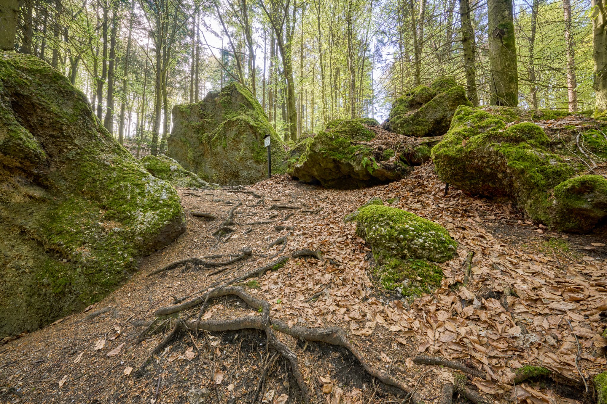 St. Salvator Luisenburg, Bad Griesbach, Passau - Waldweg mit bemoosten Felsen in St. Salvator Luisenburg, Bad Griesbach. Passau, Niederbayern, Deutschland.