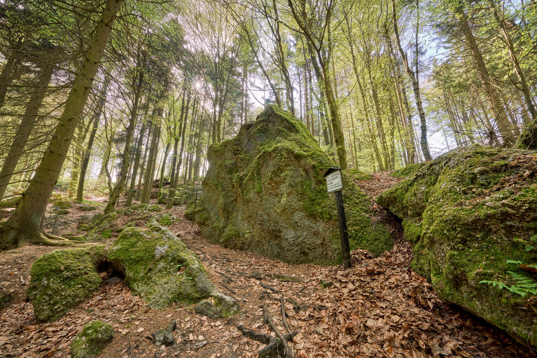 St. Salvator Luisenburg, Bad Griesbach, Passau - Waldweg mit bemoosten Felsen in St. Salvator Luisenburg, Bad Griesbach. Passau, Niederbayern, Deutschland.