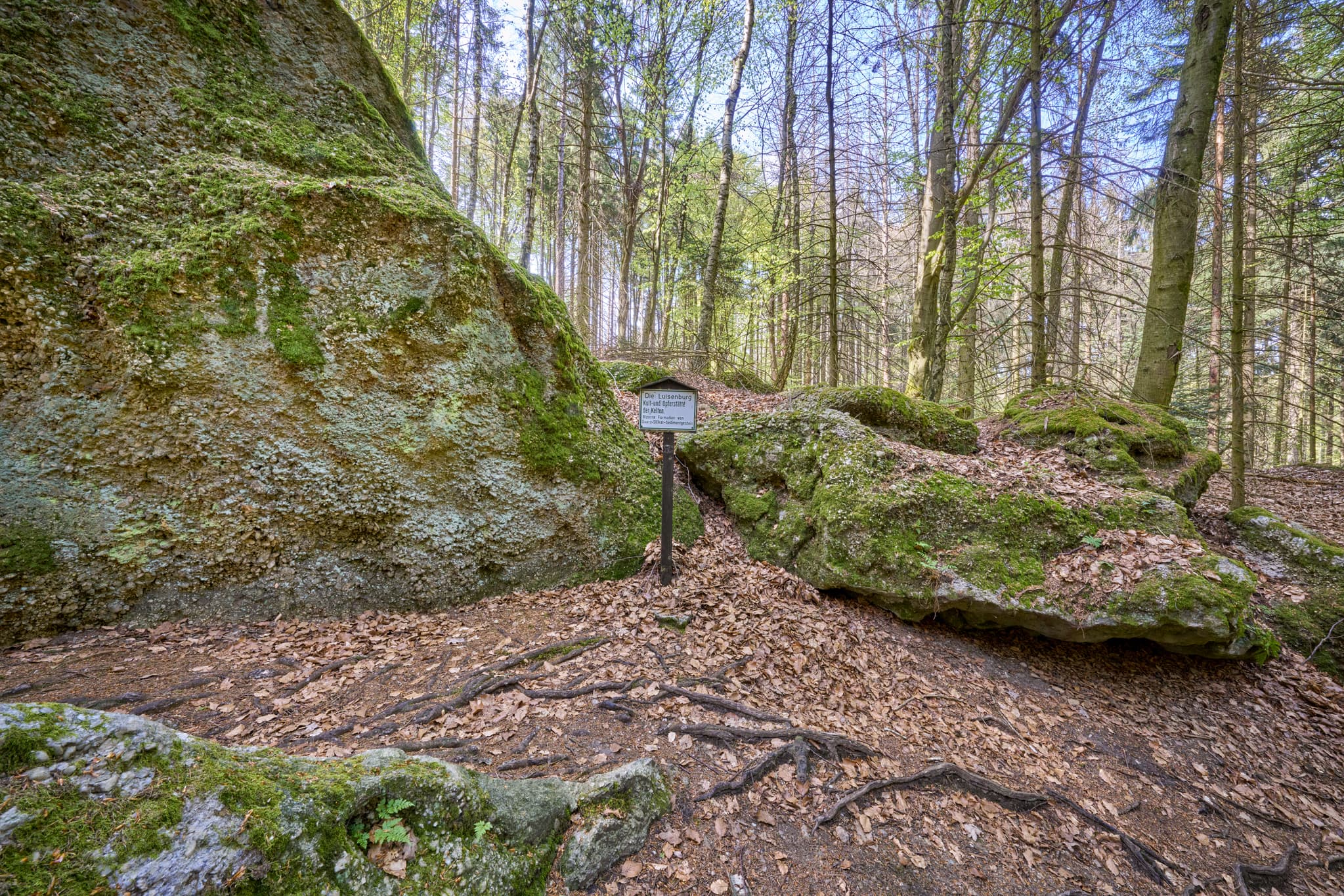 St. Salvator Luisenburg, Bad Griesbach, Passau - Waldweg mit bemoosten Felsen in St. Salvator Luisenburg, Bad Griesbach. Passau, Niederbayern, Deutschland.
