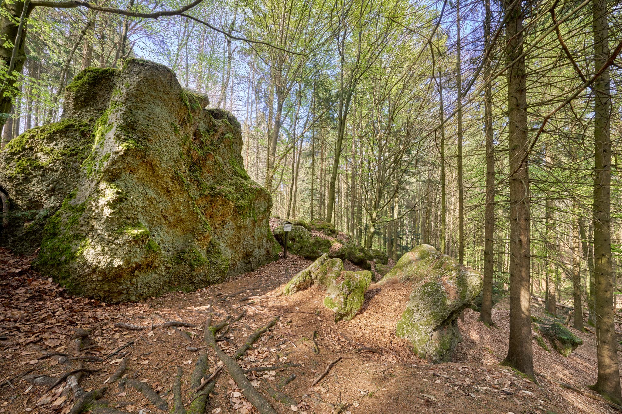 St. Salvator Luisenburg, Bad Griesbach, Passau - Waldweg mit bemoosten Felsen in St. Salvator Luisenburg, Bad Griesbach. Passau, Niederbayern, Deutschland.