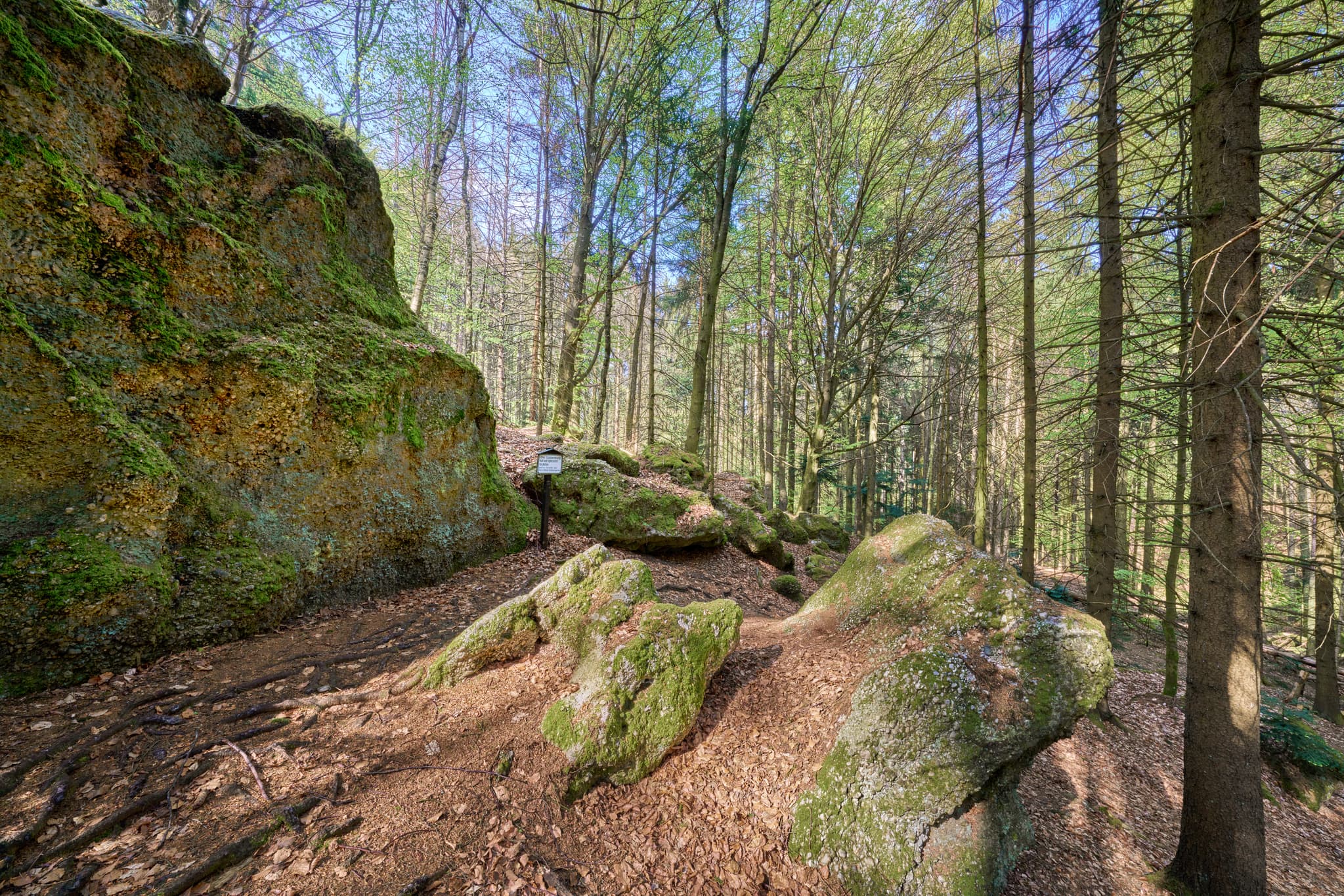 St. Salvator Luisenburg, Bad Griesbach, Passau - Waldlandschaft mit Felsen in St. Salvator Luisenburg, Bad Griesbach. Landkreis Passau, Niederbayern, Bayern, Deutschland.