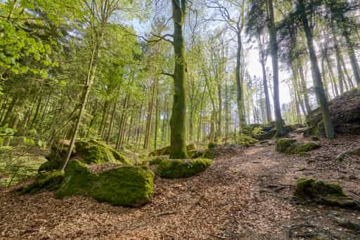 St. Salvator Luisenburg Umgebung, Bad Griesbach, Passau