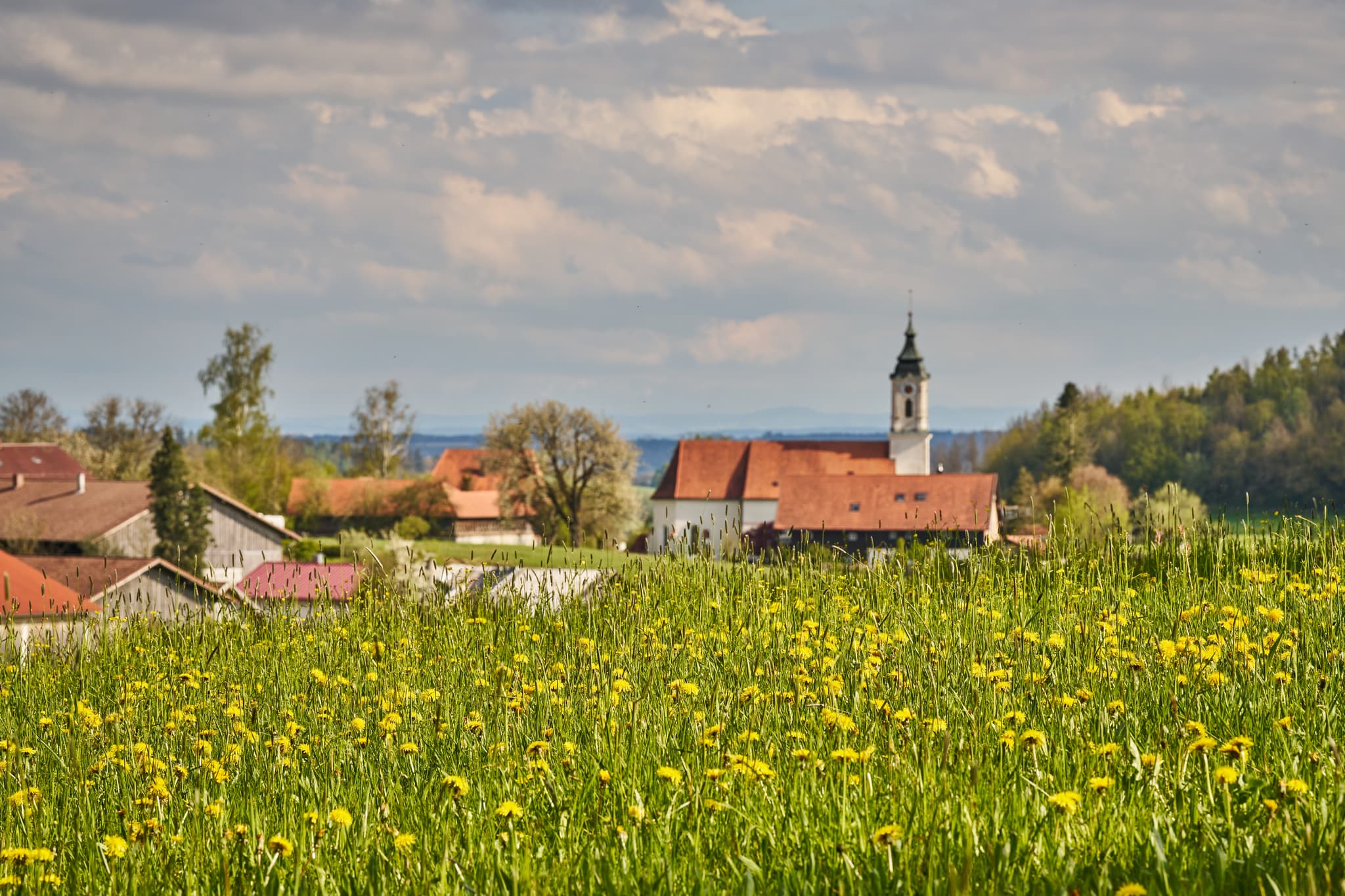 St. Wolfgang, Bad Griebsach, Passau, Niederbayern - Frühlingslandschaft mit Kirche St. Wolfgang in Bad Griebsach, Landkreis Passau, Niederbayern, Deutschland.