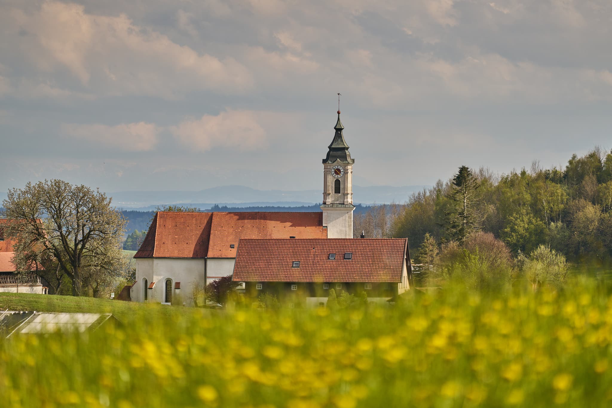 St. Wolfgang Frühling, Bad Griebsach, Passau, Niederbayern - Malerisches Frühlingsbild der Kirche St. Wolfgang in Bad Griebsach, Landkreis Passau, Niederbayern. Umgeben von blühenden Feldern und Hügeln, Deutschland.