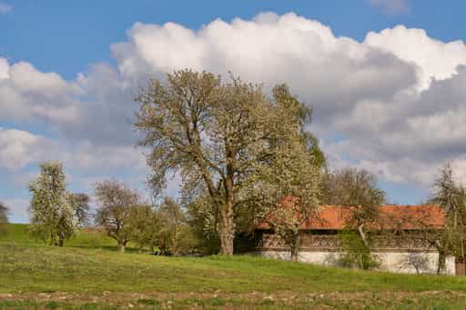 St. Wolfgang im Frühling, Bad Griebsach, Niederbayern