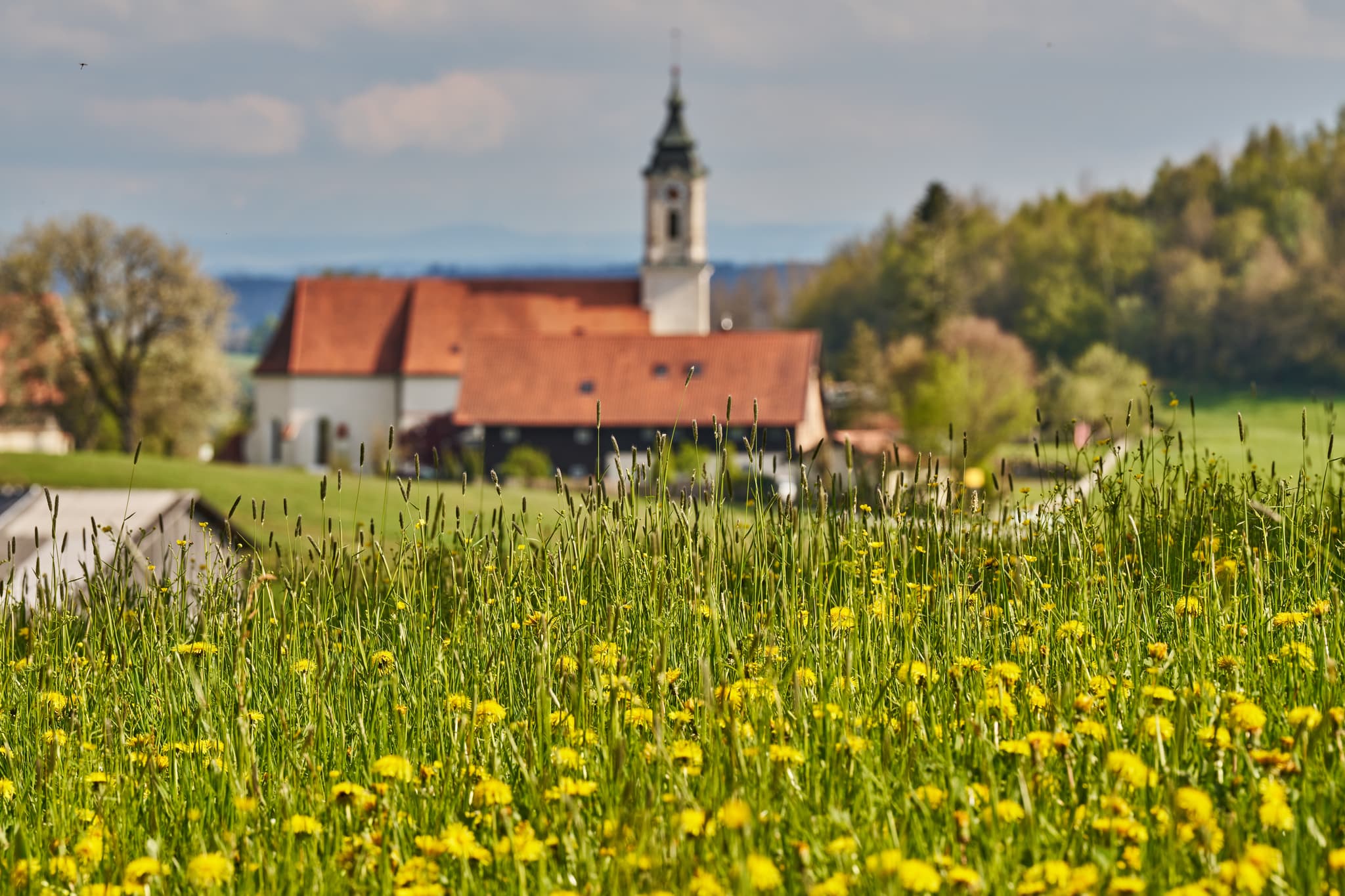 St. Wolfgang im Frühling, Bad Griebsach, Niederbayern - Entdecken Sie St. Wolfgang im Frühling in Bad Griebsach, Landkreis Passau, Niederbayern. Eine malerische Frühlingslandschaft.