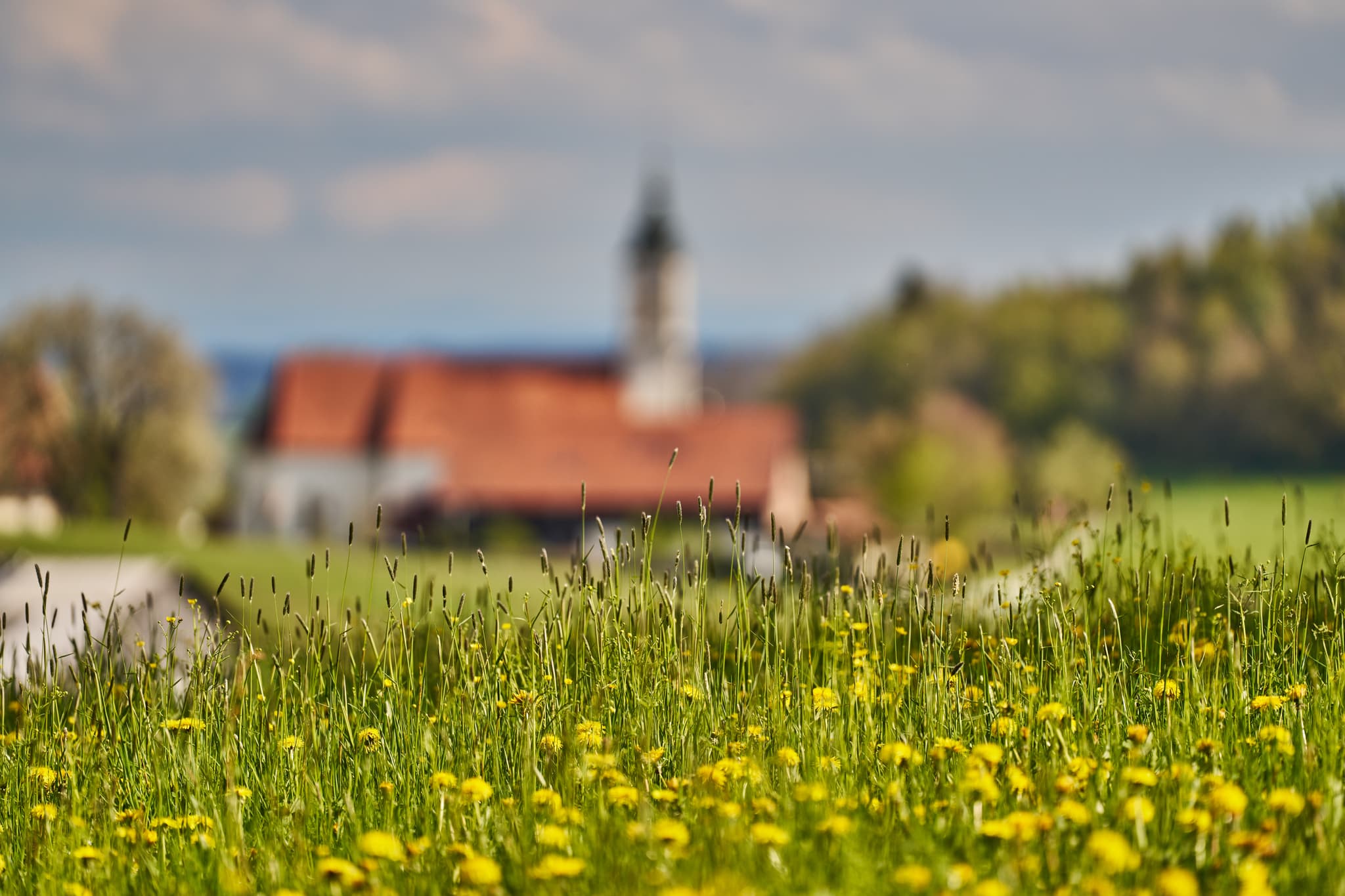 St. Wolfgang im Frühling, Bad Griebsach, Passau - Frühlingslandschaft mit Kirche St. Wolfgang in Bad Griebsach, Landkreis Passau, Niederbayern, Deutschland. Grüne Wiesen, gelbe Blumen und ländliche Idylle.