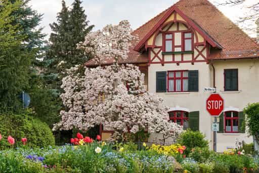 Stadt Magnolie, Bad Griesbach, Landkreis Passau