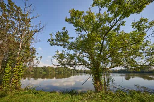 Stauweiher Landschaft, Winhöring, Altötting, Oberbayern