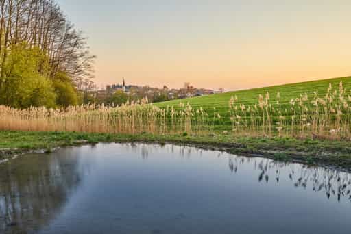 Teich mit Landschaft Richtung Biberg, Weingarten, Arbing