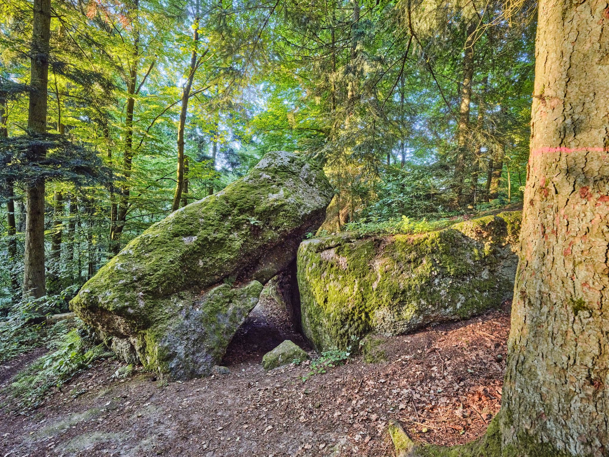 Teufelsfelsen, Waldwunderwelt, Bad Griesbach - Teufelsfelsen in Bad Griesbach, Landkreis Passau, Niederbayern, Deutschland. Darstellung auf Felsen.