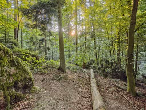 Teufelsfelsen, Waldwunderwelt, Bad Griesbach