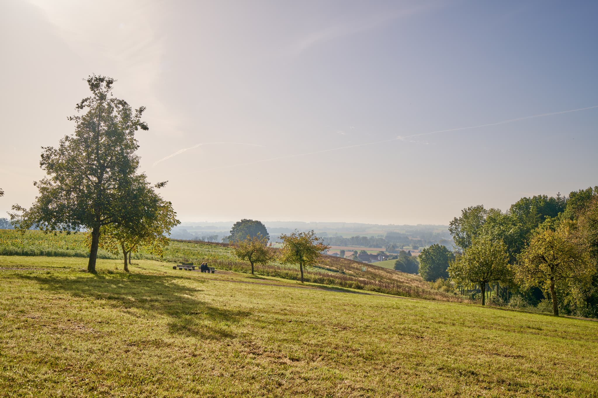 Therme Kurpark Herbst Bad Griesbach, Passau, Rottal - Kurpark in Bad Griesbach im Rottal, Landkreis Passau, Niederbayern, Deutschland. Ein herbstliches Bild der malerischen Thermenlandschaft mit leuchtenden Bäumen.