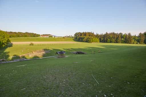 Tierfreigehege Hirsche in Halsbach, Altötting, Oberbayern