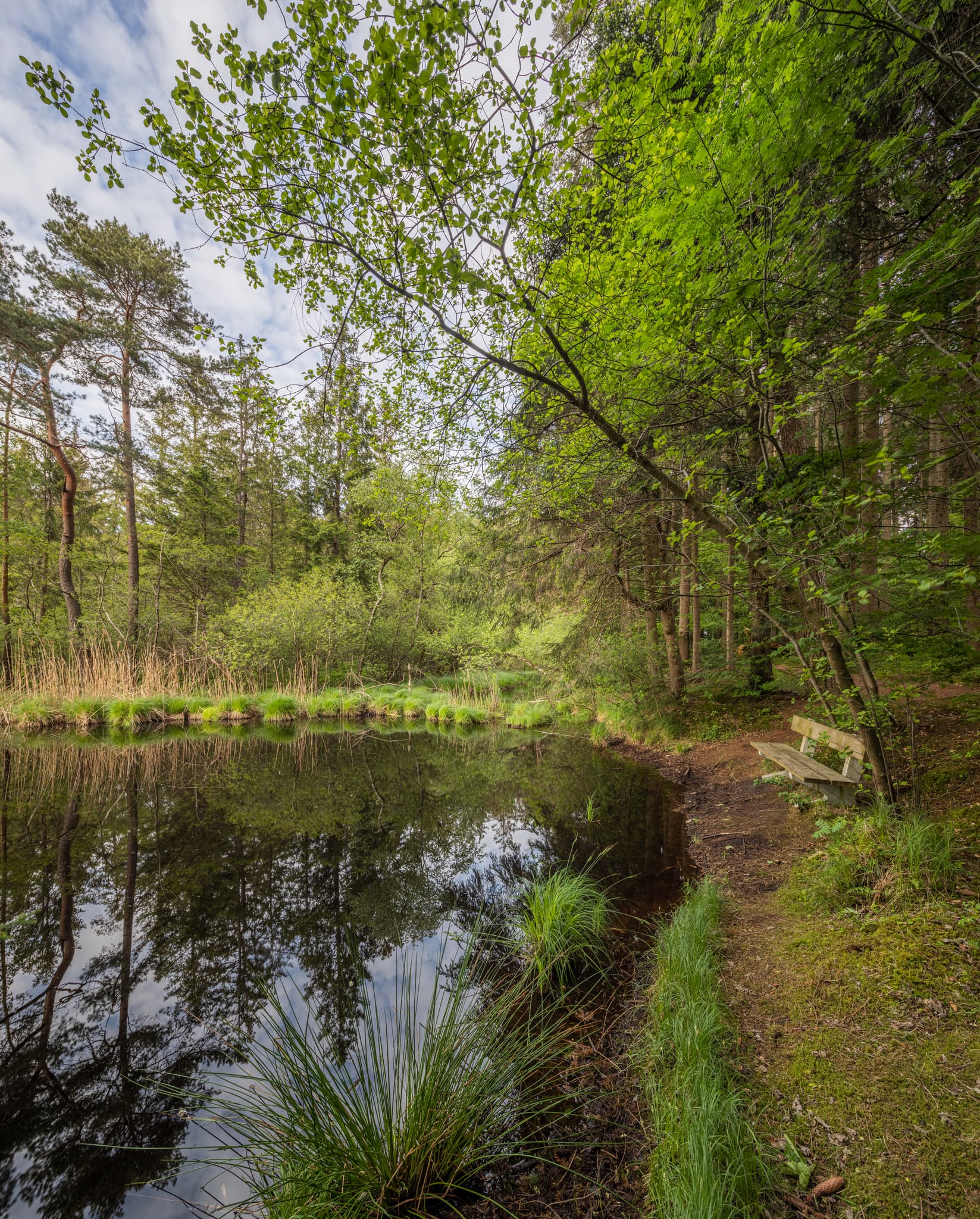 Todeiskesselweg, Haager Land, Mühldorf am Inn, Oberbayern - Todeiskesselweg im Haager Land, Gemeinde Haag, Mühldorf am Inn. Diese Wald- und Teichlandschaft in Oberbayern, Deutschland, ist Teil der Inn-Salzach Region.
