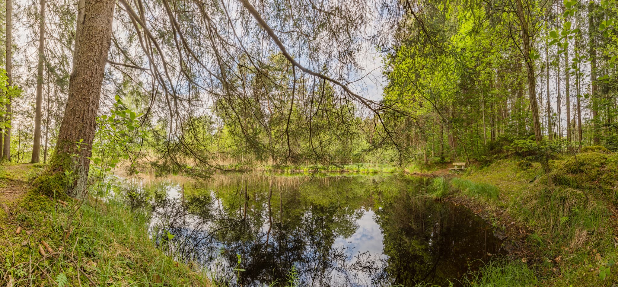 Todeiskesselweg, Haager Land, Mühldorf am Inn, Oberbayern - Idyllischer Moorsee am Todeiskesselweg Nr. 8 im Haager Land, Gemeinde Haag, Landkreis Mühldorf am Inn, Oberbayern. Naturlandschaft Inn-Salzach, Deutschland.