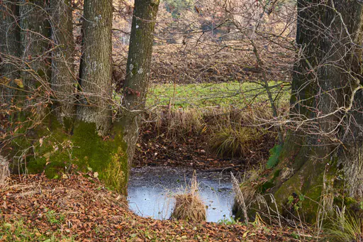 Toteiskessel Eiszeit-Rundweg, Asten, Landkreis Traunstein