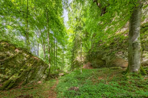 Tuffstein am Schlossberg, Garching, Altötting, Oberbayern