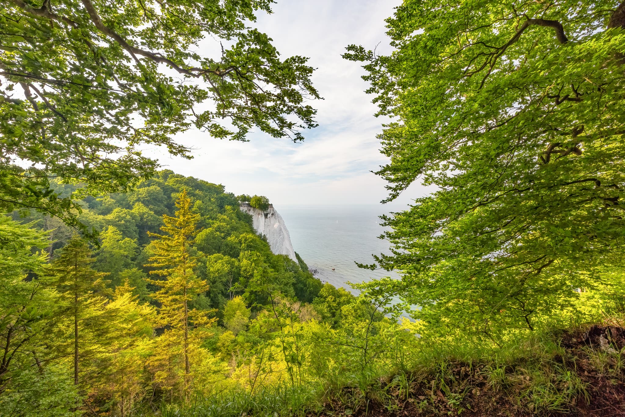 Victoriasicht, Königstuhl und Ostsee, Vorpommern-Rügen - Blick von der Victoriasicht auf Rügen, Vorpommern-Rügen, Mecklenburg-Vorpommern. Zeigt den Königstuhl und die Ostsee, umgeben von Wald an der Ostseeküste.