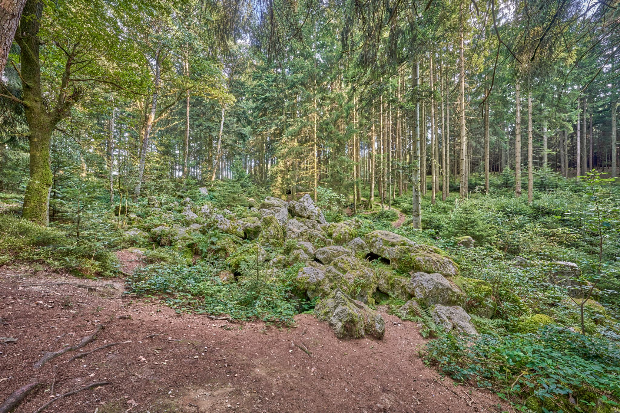 Voglarn Kaser Steinstuben, Triftern, Rottal-Inn - Geotop im Waldgebiet mit großen Geröll-Steinen aus der Eiszeit in Voglarn bei Triftern, Rottal-Inn, Niederbayern, Holzland, Bäderdreieck, Deutschland.