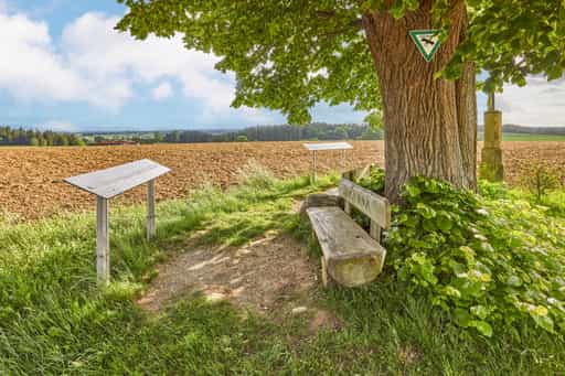 Wald Aussichtspunkt Kobeln, Garching, Altötting, Oberbayern