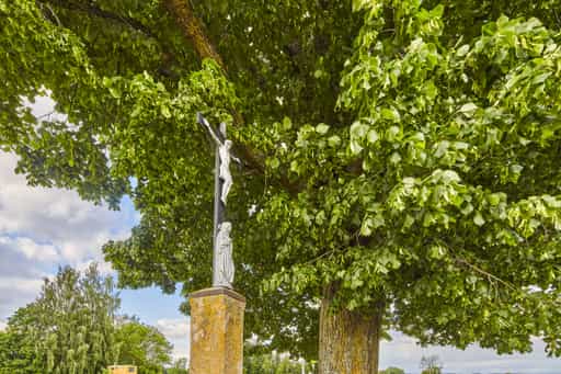 Wald Aussichtspunkt Kobeln, Garching, Altötting, Oberbayern