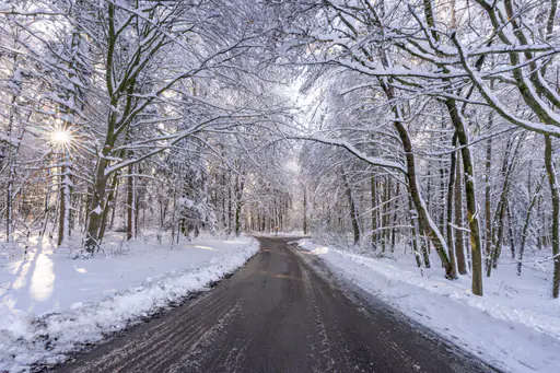 Wald im Winter Eisenbuch, AÖ, Oberbayern, Inn-Salzach