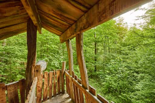 Walderlebnispfad Alz Au bei Klosterau, Altötting, Oberbayern