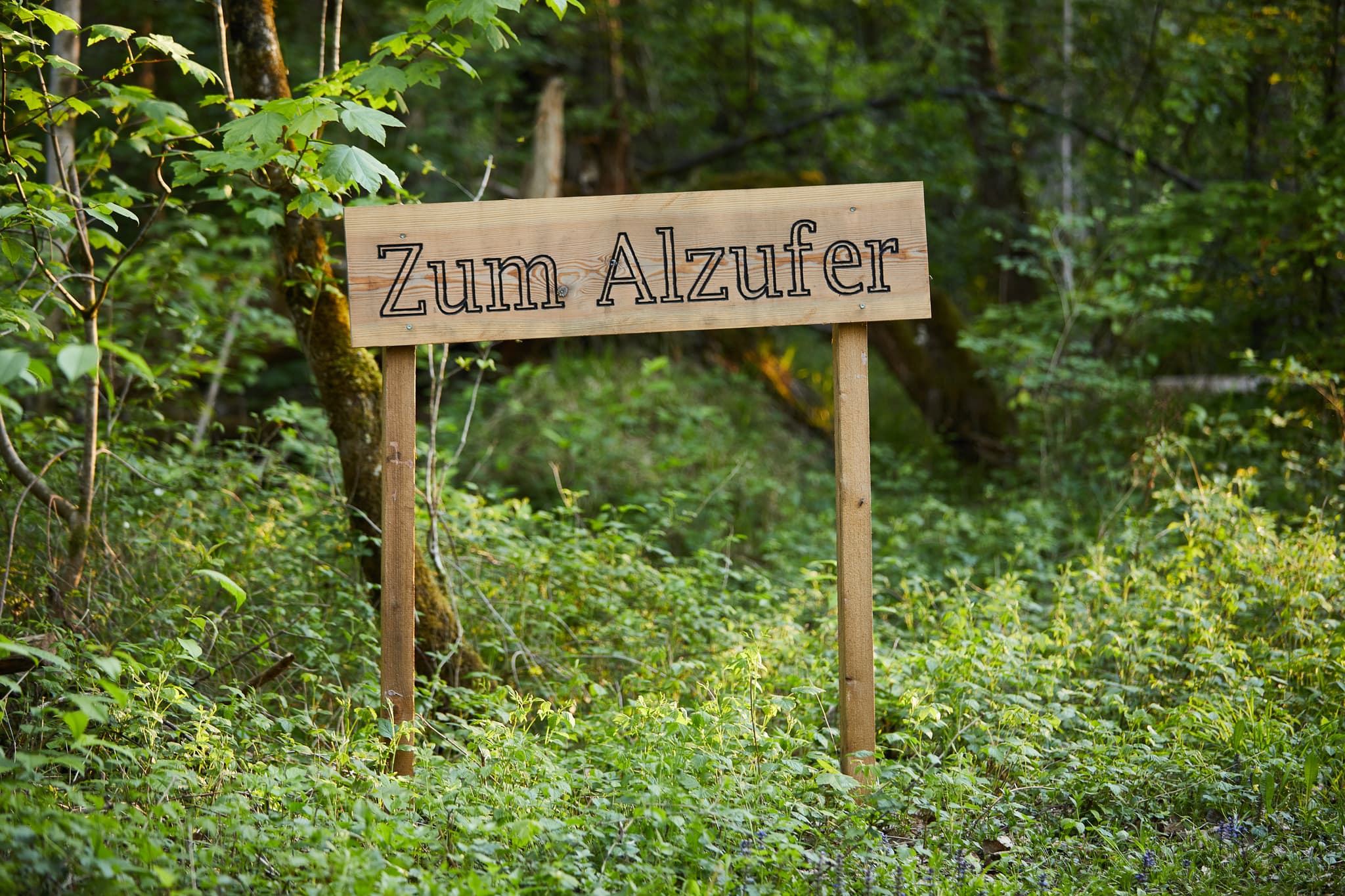 Walderlebnispfad Alz Au, Klosterau, Altötting, Oberbayern - Holzwegweiser zum Alzufer im Walderlebnispfad Alz Au in Klosterau, Gemeinde Mehring, Landkreis Altötting, Oberbayern, Region Inn-Salzach, Deutschland.