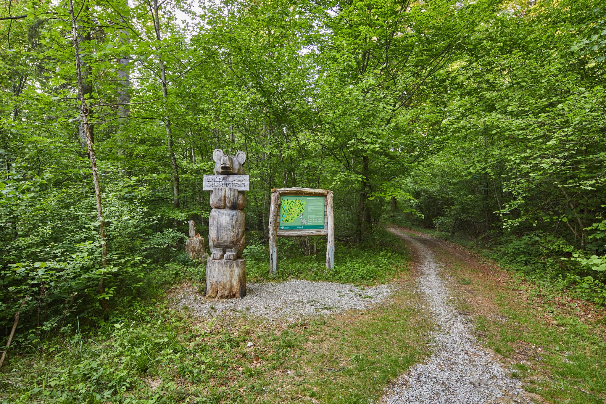 Walderlebnispfad Alz Au, Klosterau, Altötting, Oberbayern - Walderlebnispfad Alz Au in Klosterau, Mehring, Landkreis Altötting, Oberbayern. Dieser Pfad in der Region Inn-Salzach, Deutschland, bietet ein Naturerlebnis.