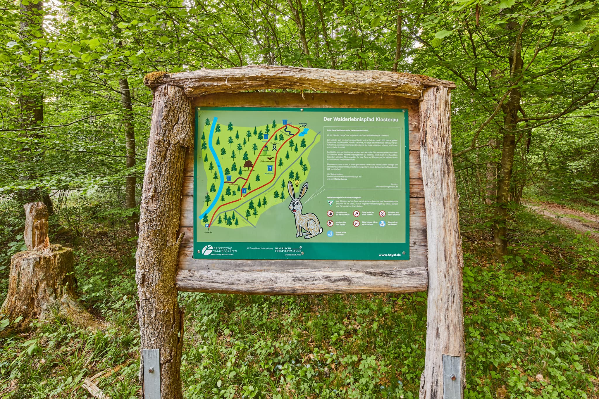 Walderlebnispfad Alz Au, Klosterau, Altötting, Oberbayern - Informationstafel Walderlebnispfad Klosterau im Wald bei Mehring, Altötting, Oberbayern. Diese Naturlandschaft der Region Inn-Salzach, Deutschland.