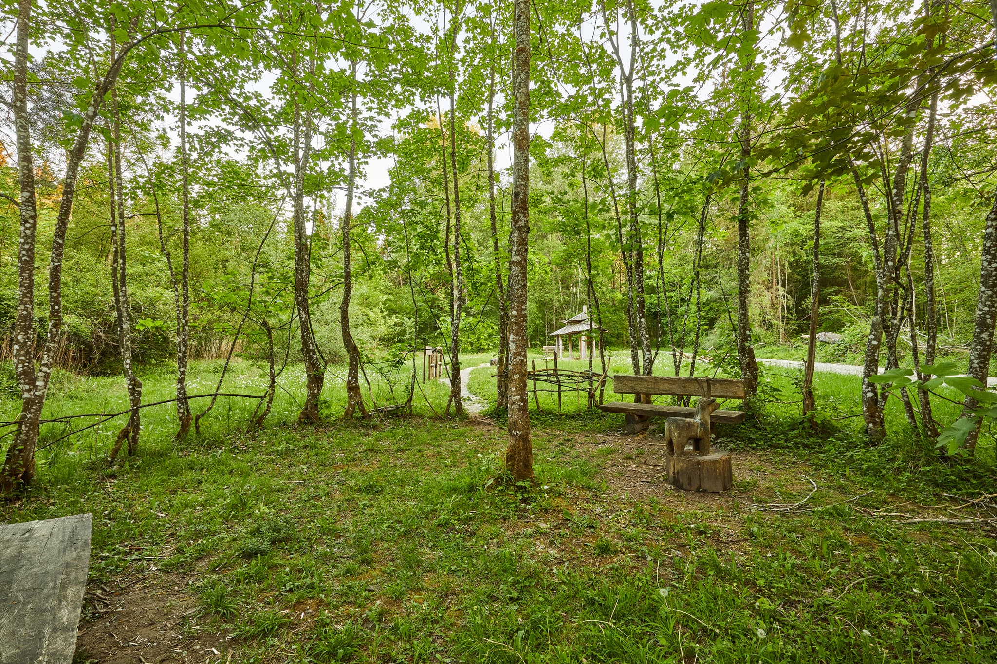 Walderlebnispfad Alz Au, Klosterau, Altötting, Oberbayern - Walderlebnispfad Alz Au in Klosterau bei Mehring, Landkreis Altötting, Oberbayern. Grüne Landschaft im Inn-Salzach-Gebiet, mit Holzbank und Bäumen.
