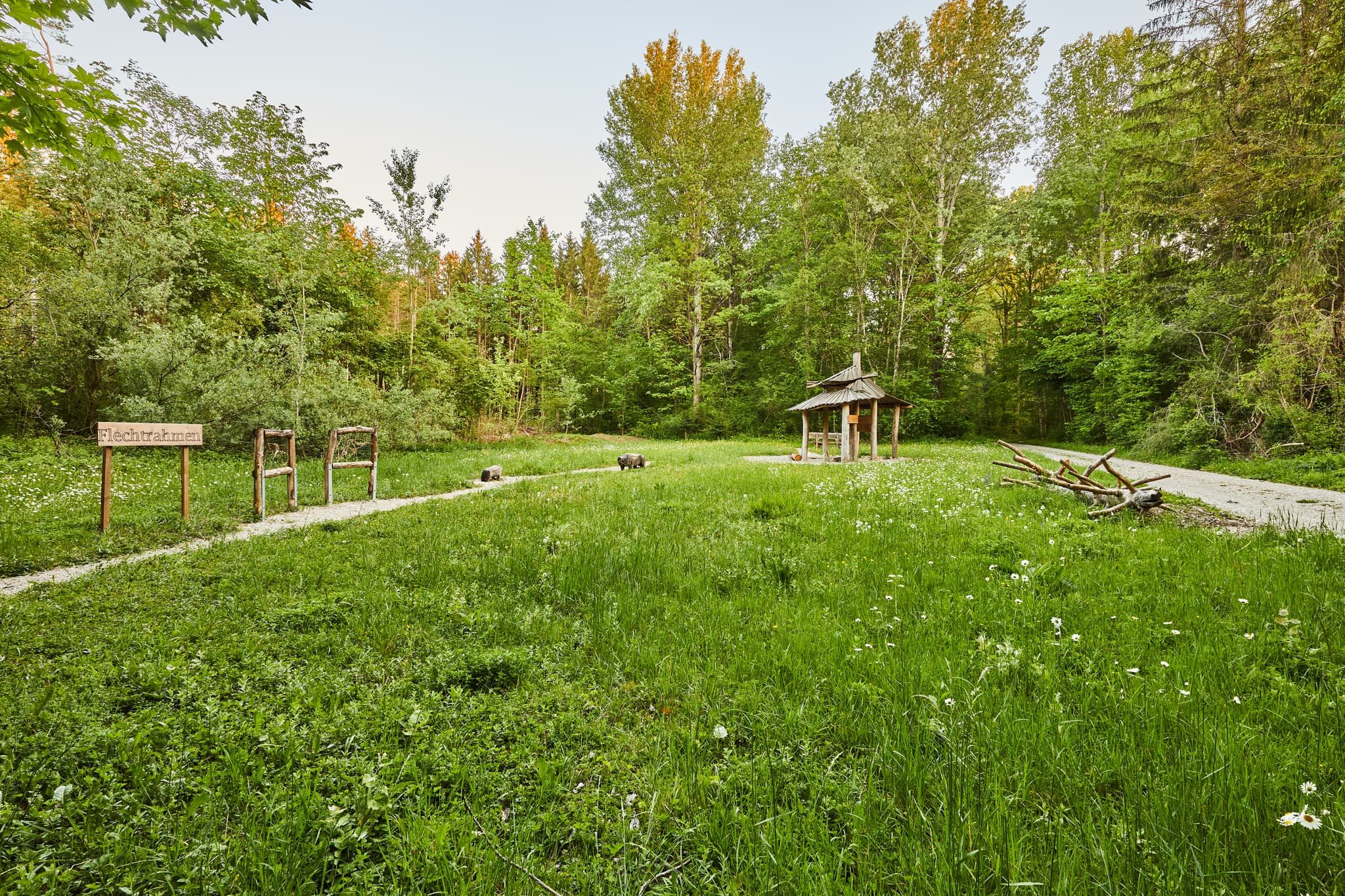 Walderlebnispfad Alz Au, Klosterau, Altötting, Oberbayern - Walderlebnispfad Alz Au in Klosterau, Gemeinde Mehring. Eine grüne Wiese mit Bäumen und Pavillon im Landkreis Altötting, Oberbayern, Inn-Salzach, Deutschland.