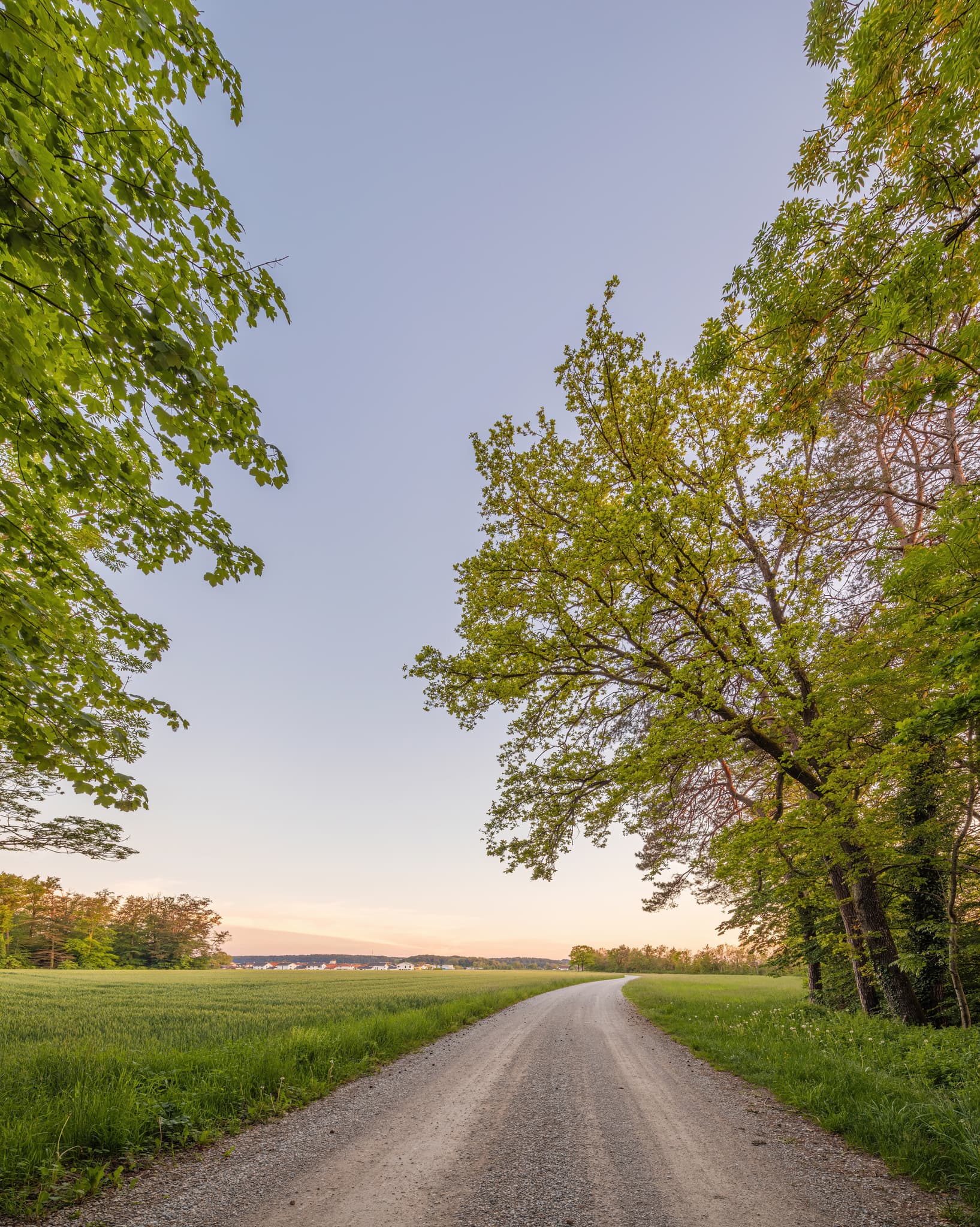 Walderlebnispfad Alz Au, Klosterau, Altötting, Oberbayern - Klosterau, Ortsteil Mehring, Landkreis Altötting, Oberbayern. Die Inn-Salzach Region in Deutschland zeigt idyllische Landschaft mit Feldern und Bäumen.