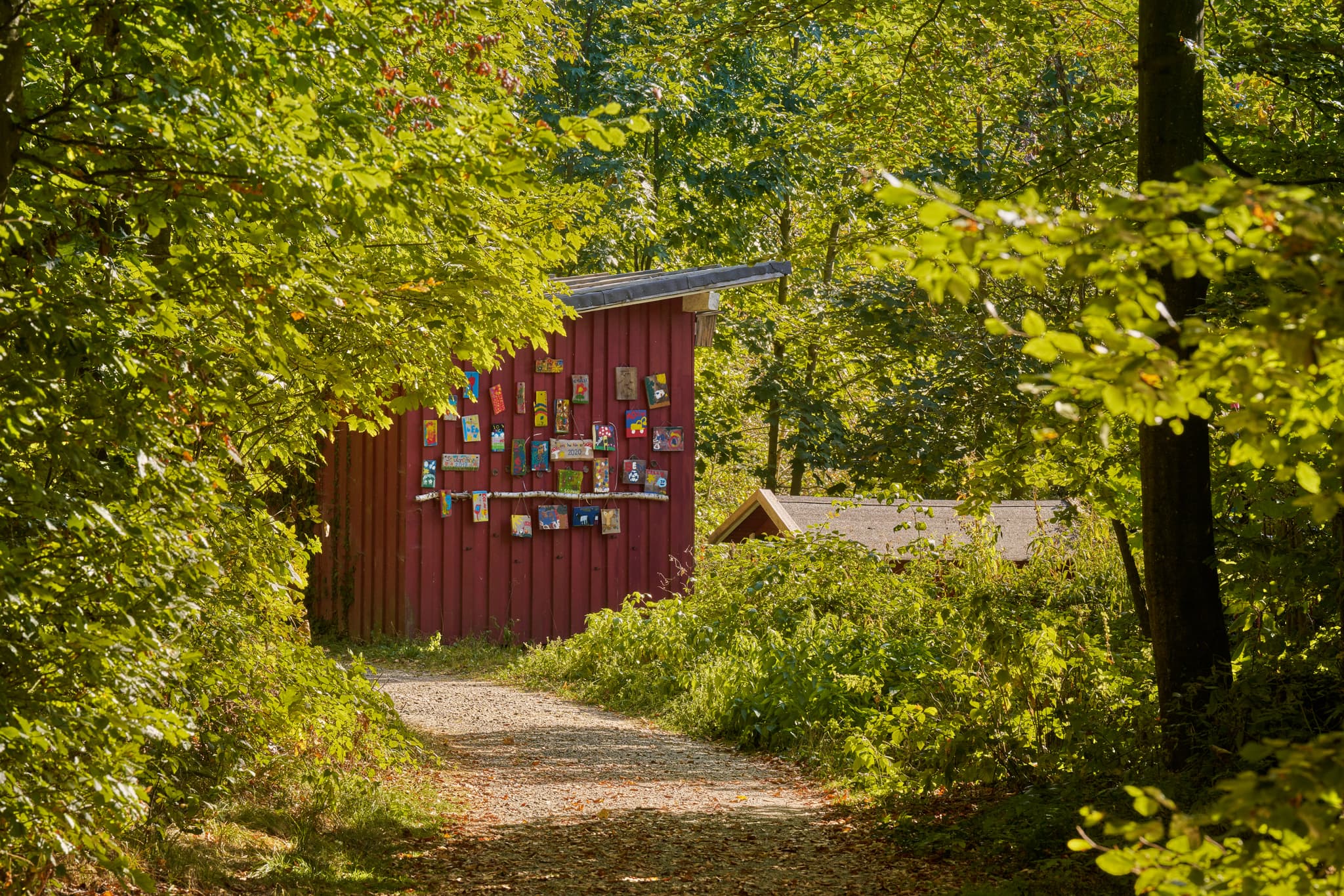 Waldkindergarten Herbst, Bad Griesbach, Passau - Waldkindergarten im Herbst in Bad Griesbach, Landkreis Passau, Niederbayern, Bayern, Deutschland. Das Bild zeigt eine Hütte Wald.
